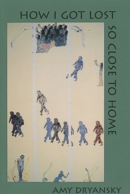 Amy Dryansky - How I Got Lost So Close to Home, Häftad