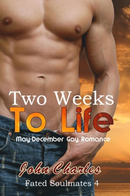 John Charles - Two Weeks To Life (Fated Soulmates 4), E-bok