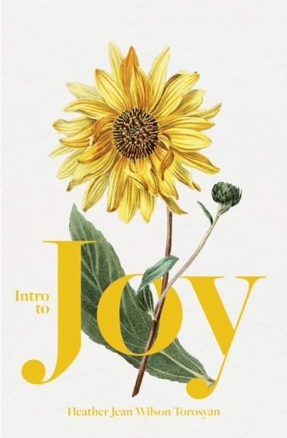 Heather Torosyan - Intro to Joy, E-bok