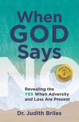 Judith Briles - When God Says NO: Revealing the YES When Adversity and Loss Are Present, Häftad. Tillgänglighet: Lägg i varukorg