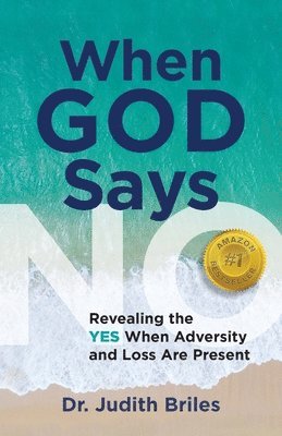 Judith Briles - When God Says NO - Revealing the YES When Adversity and Lost Are Present, Häftad. Tillgänglighet: Lägg i varukorg