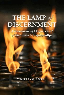 Lamp of Discernment by William L Ames, William L Ames