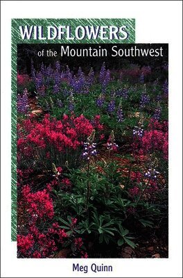 Meg Quinn - Wildflowers of the Mountain Southwest, Häftad. Tillgänglighet: Tillfälligt slut