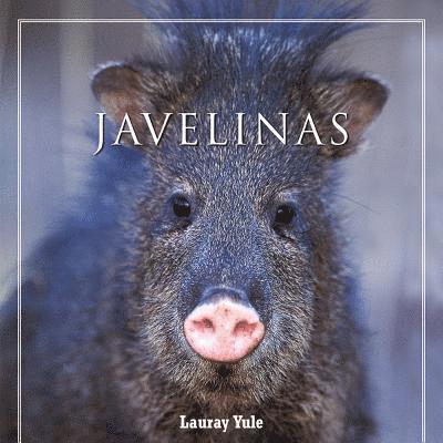 Lauray Yule - Javelinas, Inbunden