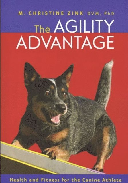 Agility Advantage