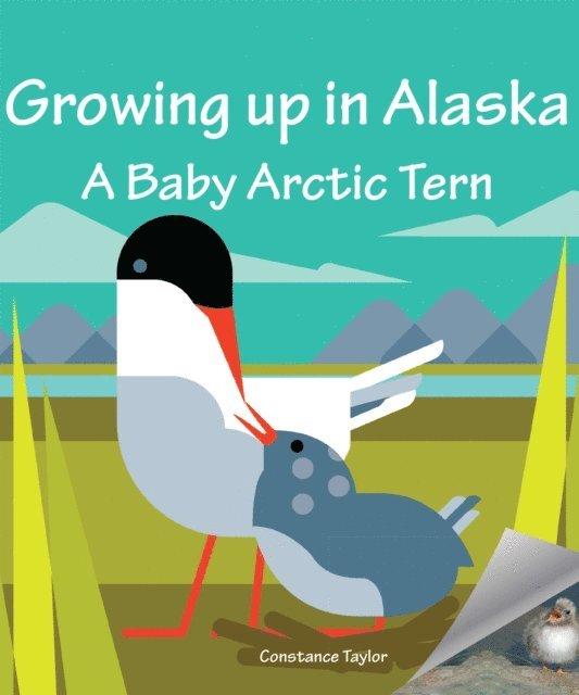 Constance Taylor - Growing up in Alaska: A Baby Arctic Tern, E-bok