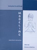 Arthur Auer - Learning about the World through Modeling, Häftad