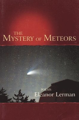 Eleanor Lerman - Mystery of Meteors, Inbunden