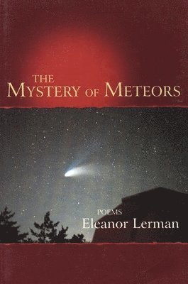 Eleanor Lerman - Mystery of Meteors, Häftad