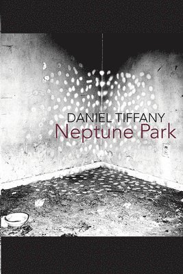 Daniel Tiffany - Neptune Park, Häftad. Tillgänglighet: Tillfälligt slut