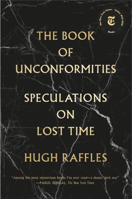 Hugh Raffles - Book of Unconformities, E-bok