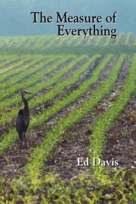 Ed Davis - Measure of Everything, Häftad. Tillgänglighet: Lägg i varukorg