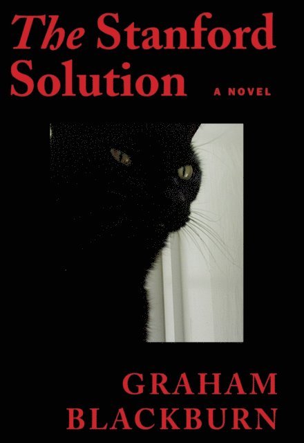 Graham Blackburn - Stanford Solution, E-bok