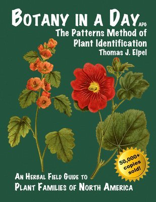 Thomas J. Elpel - Botany in a Day: The Patterns Method of Plant Identification, Häftad