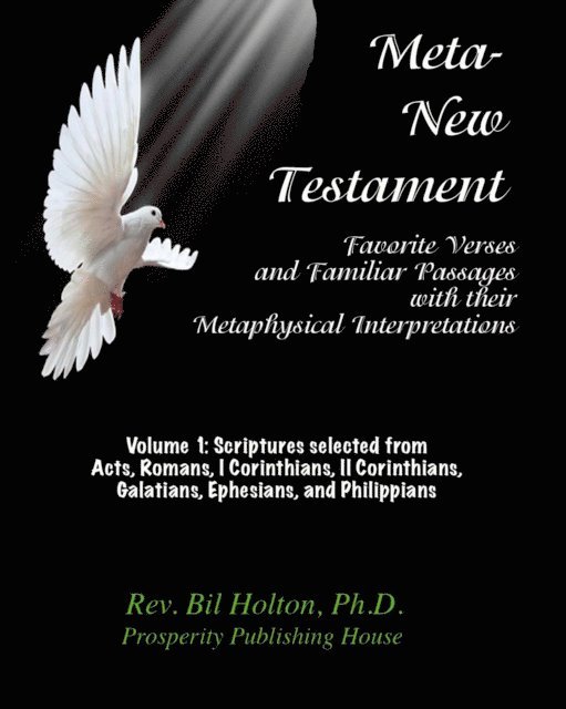 Bil Holton - Meta-New Testament: Favorite Verses & Familiar Passages with their Metaphysical Interpretations - Volume 1, E-bok