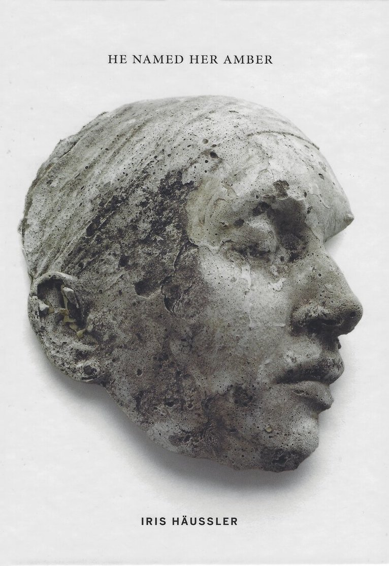 Iris Häussler - He Named Her Amber, Inbunden