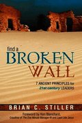 Find a Broken Wall