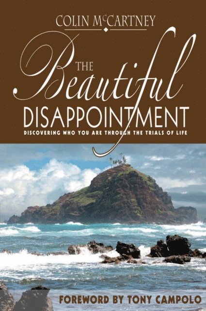 Colin McCartney - Beautiful Disappointment, E-bok