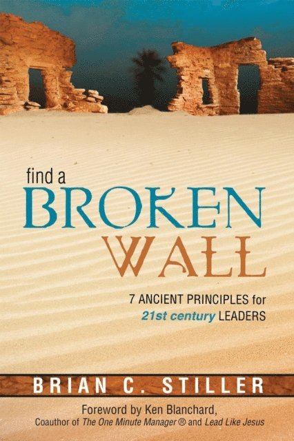 Brian C Stiller - Find A Broken Wall, E-bok