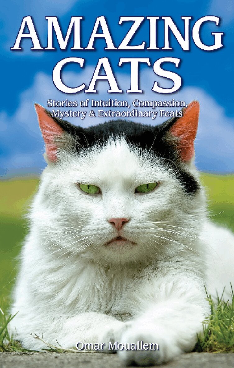 Omar Mouallem - Amazing Cats, Häftad