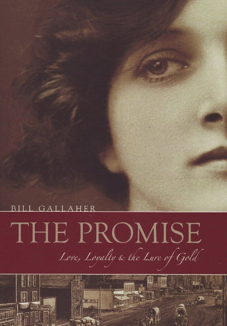 Bill Gallaher - Promise, Häftad