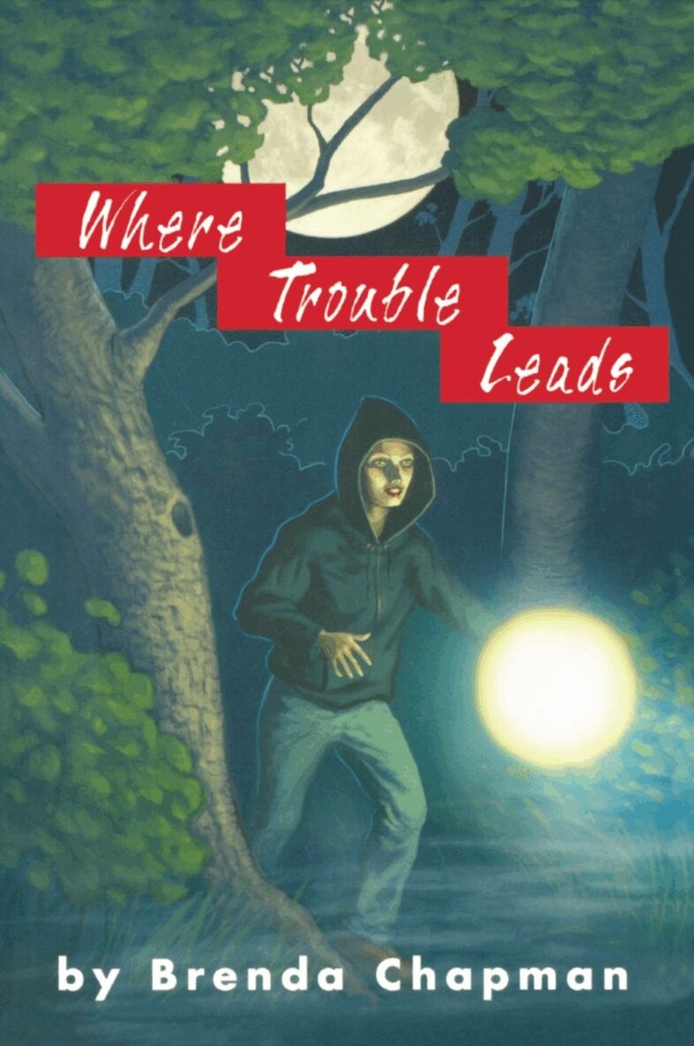Brenda Chapman - Where Trouble Leads, Häftad