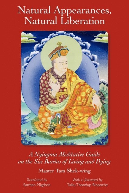 Master Shek-wing Tam - Natural Appearances, Natural Liberation, E-bok