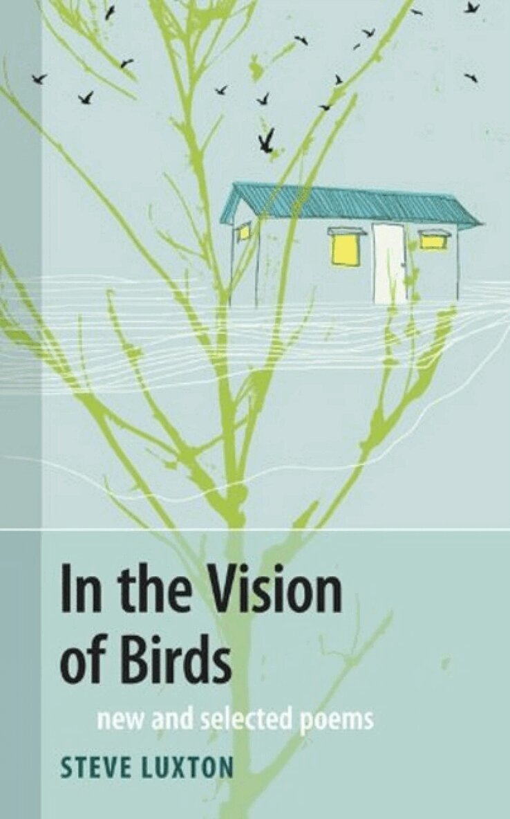 Steve Luxton - In the Vision of Birds, Häftad