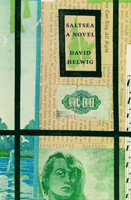 David Helwig - Saltsea, E-bok