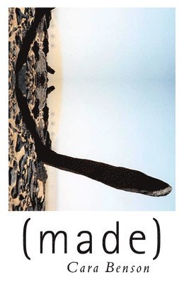 Cara Benson - (made), Häftad. Tillgänglighet: Tillfälligt slut