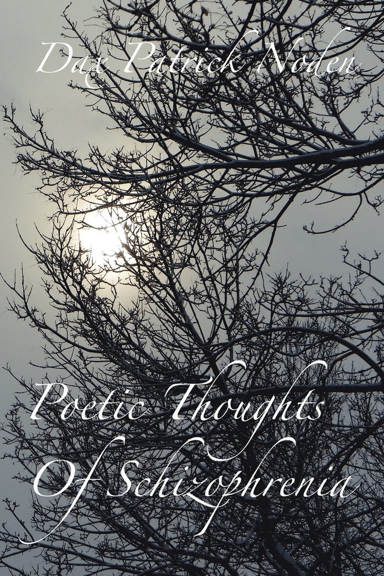 Ernest G Mardon, Dax Patrick Noden - Poetic Thoughts of Schizophrenia, Häftad