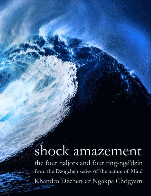 Khandro Dechen, Ngakpa Chogyam - Shock Amazement, E-bok