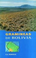 Gramineas de Bolivia