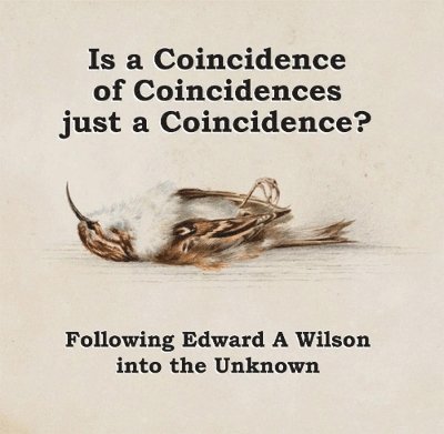 John Flux - Is a Coincidence of Coincidences just a Coincidence? Following Edward A Wilson into the Unknown, Inbunden