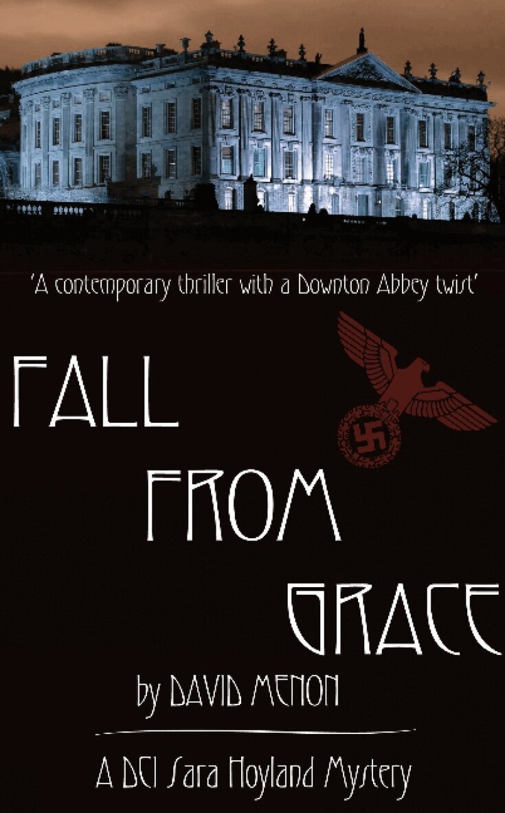 David Menon - Fall From Grace, Häftad