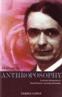 Henk van Oort - Anthroposophy, Häftad