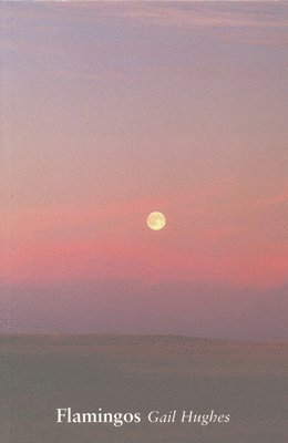 Gail Hughes - Flamingos, Häftad