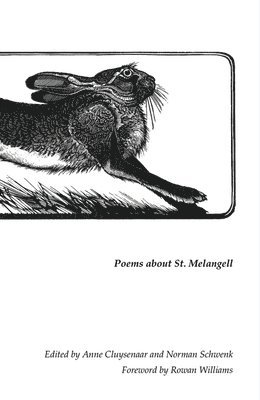 Norman Schwenk, Anne Cluysenaar - Hare That Hides Within, Häftad