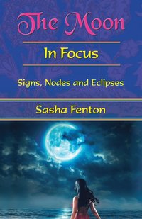 The Moon: in Focus