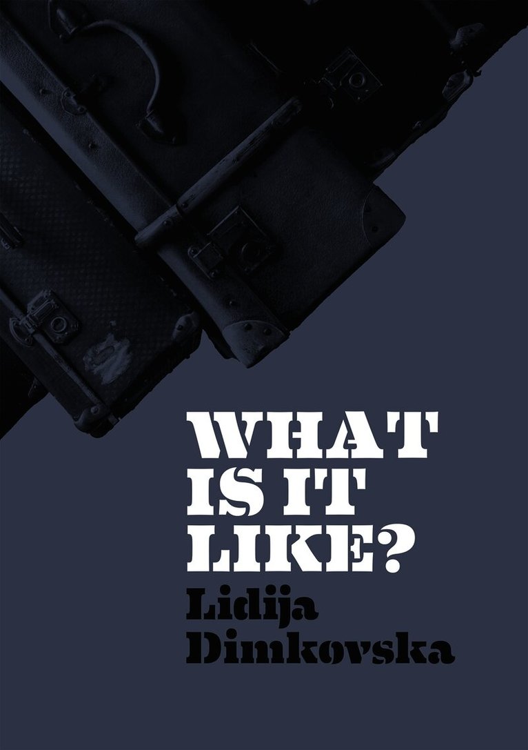 Lidija Dimkovska - What Is It Like?, Häftad