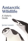 Antarctic Wildlife  A Visitor`s Guide