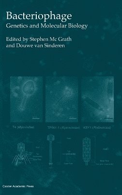Stephen McGrath, Douwe van Sinderen - Bacteriophage, Inbunden