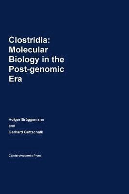 Holger Bruggemann, Gerhard Gottschalk, Holger Brüggemann - Clostridia, Inbunden
