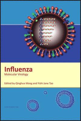 Yizhi Jane Wang Qinghua, Tao - Influenza, Inbunden