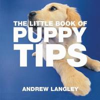 The Little Book of Puppy Tips