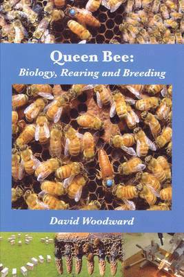 Queen Bee av David Woodward