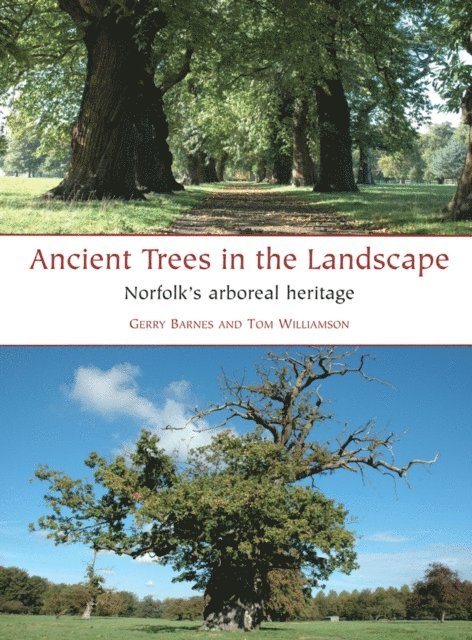 Williamson Tom Williamson, Barnes Gerry Barnes - Ancient Trees in the Landscape, E-bok. Tillgänglighet: Lägg i varukorg