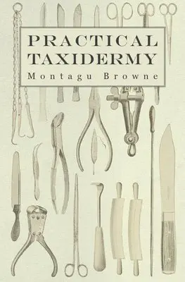 Practical Taxidermy - A Manual of Instruction To The Amateur In Collecting, Preserving, And Setting Up Natural History Specimens of All Kinds