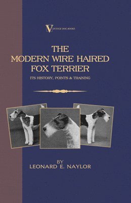 Modern Wire Haired Fox Terrier - Its History, Points & Training (A Vintage Dog Books Breed Classic) av Leonard E Naylor