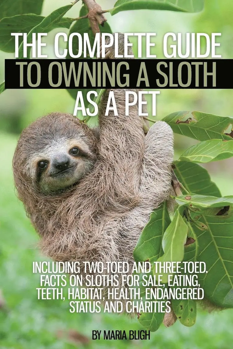 Complete Guide to Owning a Sloth as a Pet including Two-Toed and Three ...